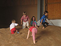 Kinder spielen im Getreide